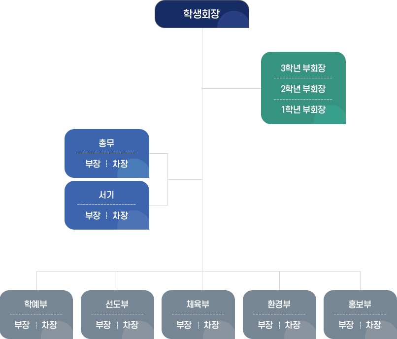 조직도 이미지